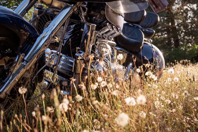 Custom Valkyrie moto : The Mechanical Legend profil