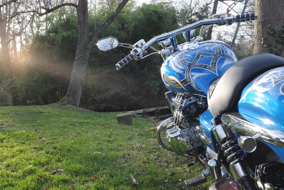 Custom Valkyrie moto : The Viking Spirit